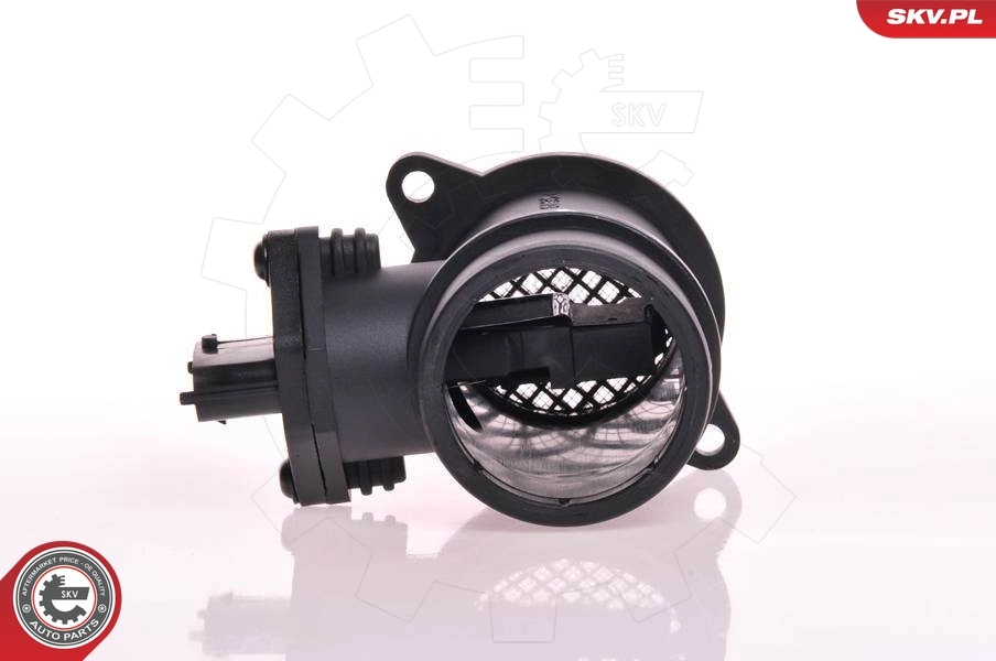 Mass Air Flow Sensor
